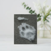 Kat-paw, bevroren briefkaart (Staand voorkant)