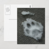Kat-paw, bevroren briefkaart (Voorkant / Achterkant)