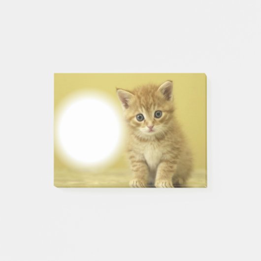 Kat Paw-It Post-it® Notes (Voorkant)