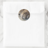 Kat Paw-Stickers Ronde Sticker (Tas)