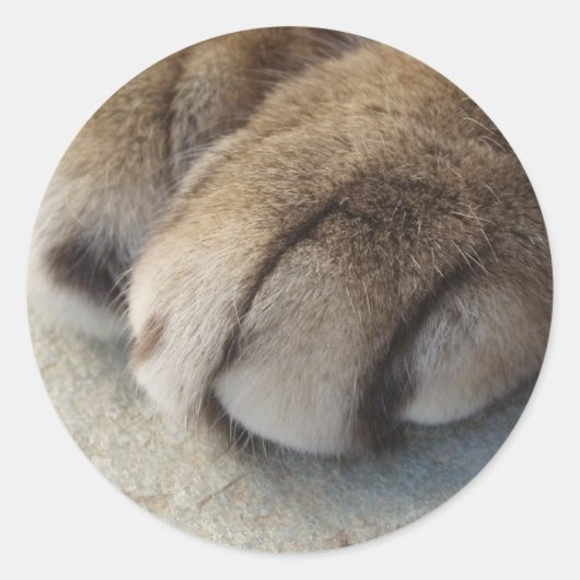 Kat Paw-Stickers Ronde Sticker (Voorkant)