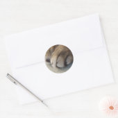 Kat Paw-Stickers Ronde Sticker (Envelop)