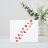 Kat Paws Briefkaart (Staand voorkant)