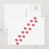 Kat Paws Briefkaart (Voorkant / Achterkant)