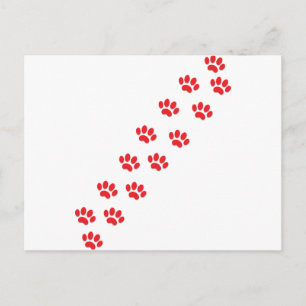 Kat Paws Briefkaart