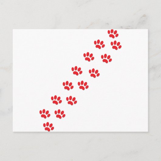 Kat Paws Briefkaart (Voorkant)