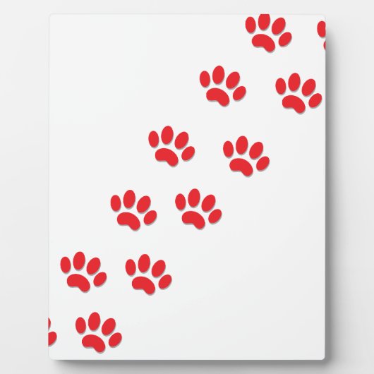 Kat Paws Feet Fotoplaat (Voorkant)