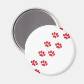 Kat Paws Magneet (Voorkant / Achterkant)