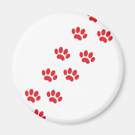 Kat Paws Magneet (Voorkant)