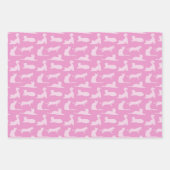 Kat Paws Patroon Inpakpapier Vel (Voorkant)