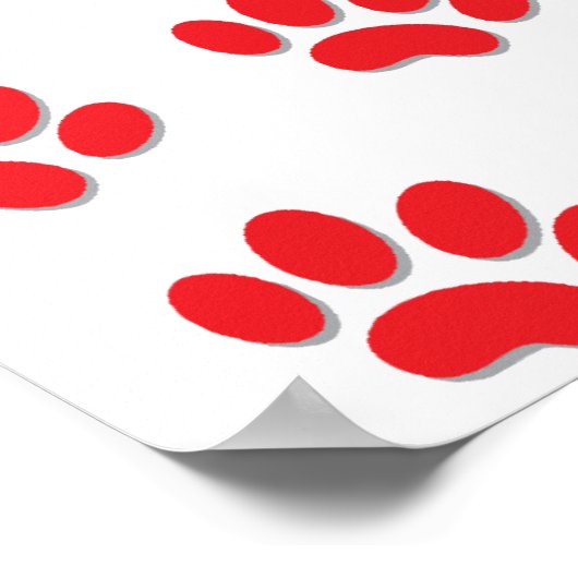 Kat Paws Poster (Hoek)