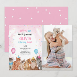 Kat Pawty Dieren Meisje Verjaardag Foto Kaart