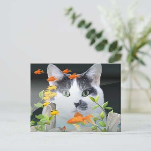 Kat peerin visschacht briefkaart (Staand voorkant)