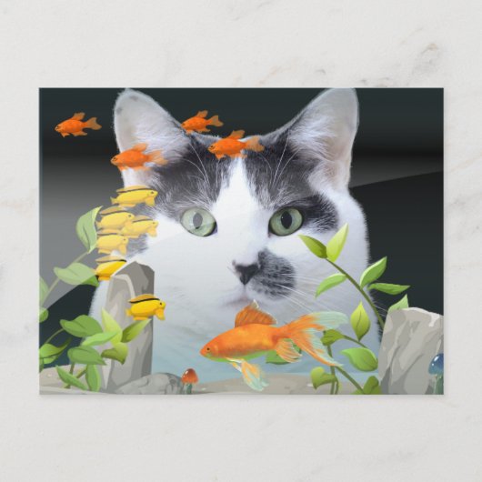 Kat peerin visschacht briefkaart (Voorkant)