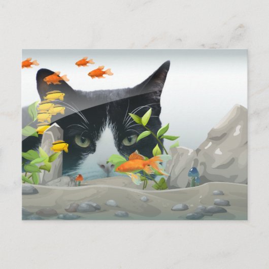 Kat Peering in Vistank Custom Foto Briefkaart (Voorkant)