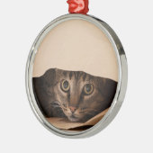 Kat Peking uit een Tas Kerstmis Ornament (Links)