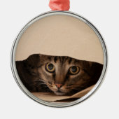 Kat Peking uit een Tas Kerstmis Ornament (Voorkant)