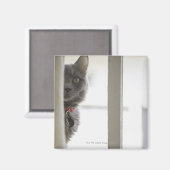 Kat per venster magneet (Voorkant / Achterkant)