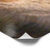 Kat Perfect Poster (Hoek)