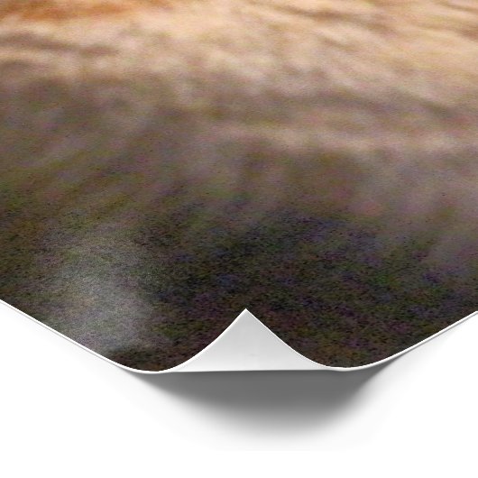 Kat Perfect Poster (Hoek)