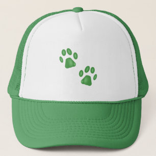 Kat Pet