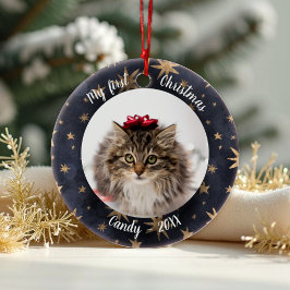 Kat Pet First-kerstfoto Rustic Messistars Keramisch Ornament