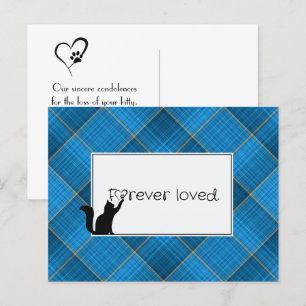 Kat Pet verliest sympathie van Vet Briefkaart