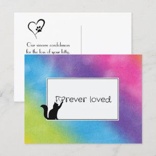 Kat Pet verliest sympathie van Vet Briefkaart