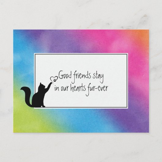 Kat Pet verliest sympathie van Vet Briefkaart (Voorkant)