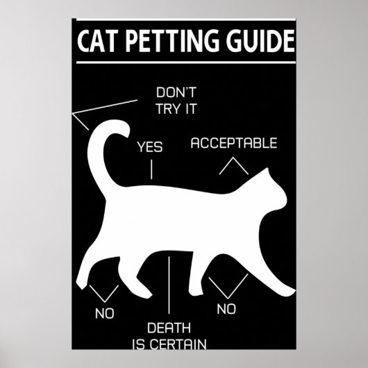 Kat Petting Guide Poster (Voorkant)
