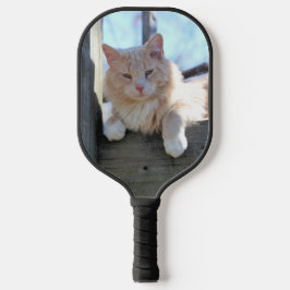 Kat Pickleball Paddle