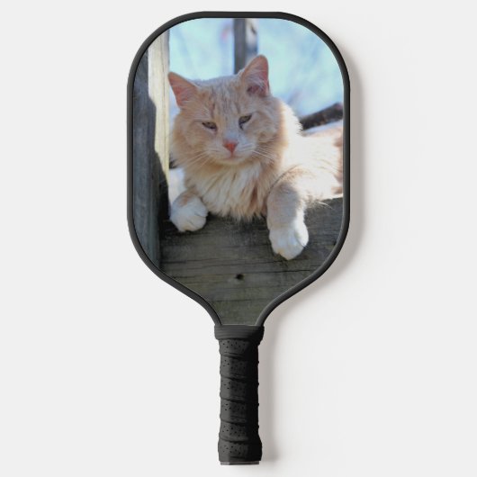 Kat Pickleball Paddle (Voorkant)