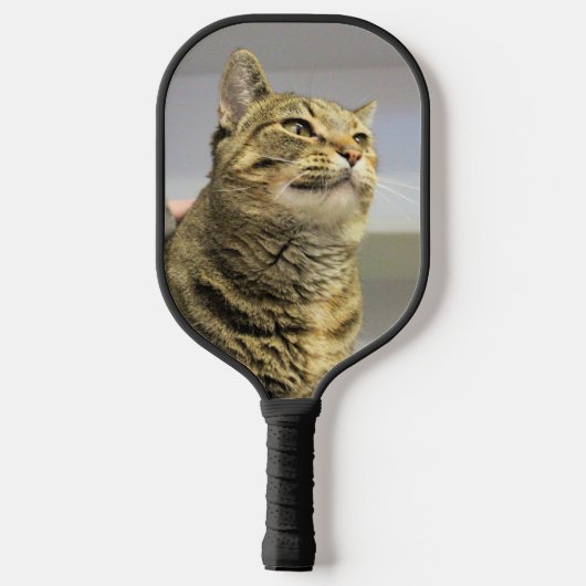 Kat Pickleball Paddle (Achterkant)