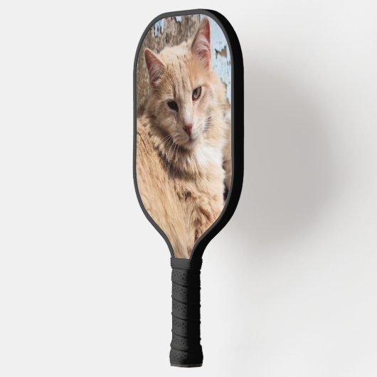 Kat Pickleball Paddle (Links)