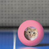 Kat Pingpongbal (Net)