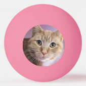 Kat Pingpongbal (Voorkant)