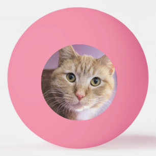Kat Pingpongbal