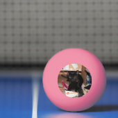 Kat Pingpongbal (Net)