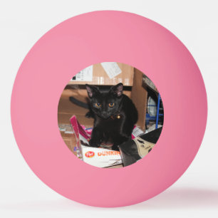 Kat Pingpongbal