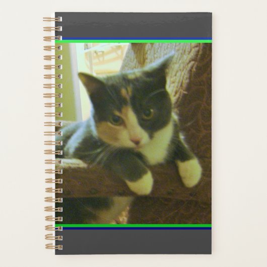 Kat Planner (Voorkant)
