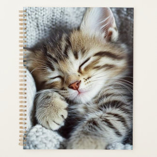 Kat planner