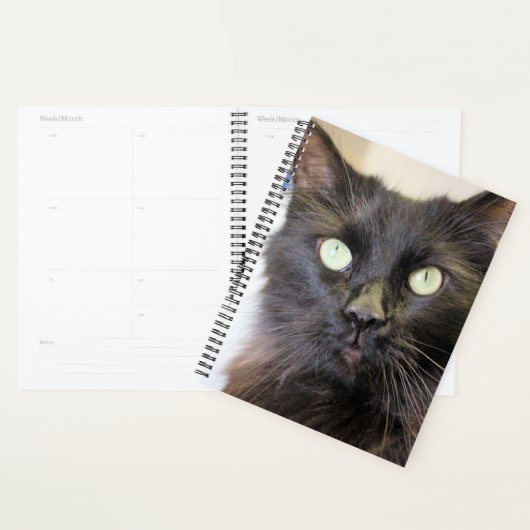 Kat Planner (Display)