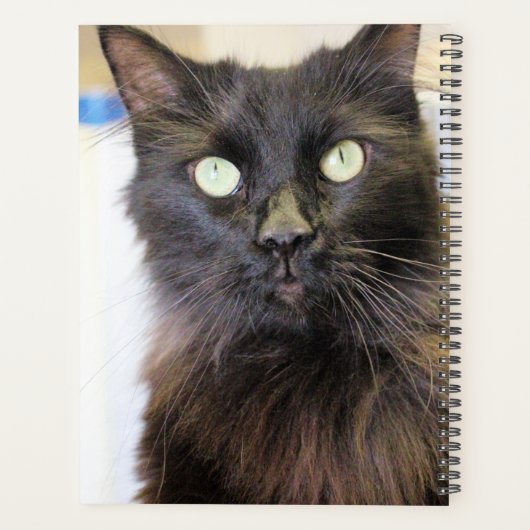 Kat Planner (Achterkant)