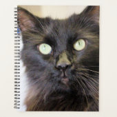 Kat Planner (Voorkant)