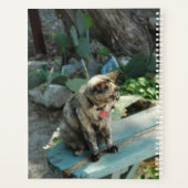 Kat Planner (Achterkant)