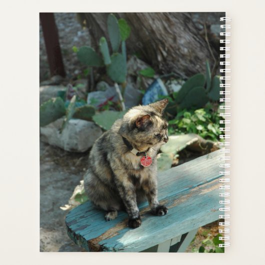 Kat Planner (Achterkant)