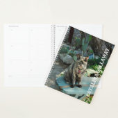Kat Planner (Display)