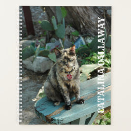 Kat Planner