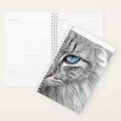 Kat Planner 2021 (Display)