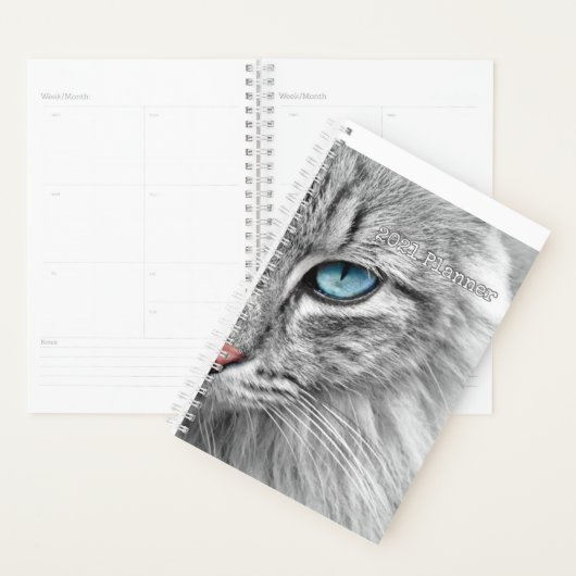 Kat Planner 2021 (Display)